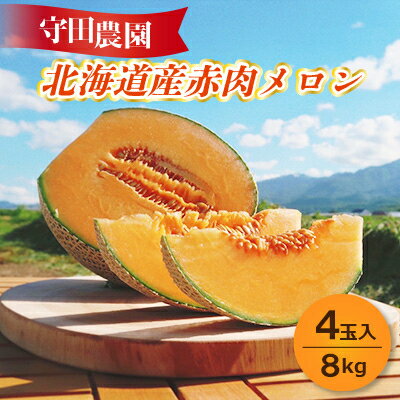 【ふるさと納税】【2025年発送】北海道富良野産 赤肉メロン 4玉入り 8kg【1302065】