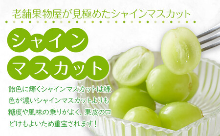 【2025年8月中旬より発送】特秀品！シャインマスカット　約2kg(3～5房) |フルーツ シャインマスカット 旬 美味しい シャインマスカット 新鮮 フルーツ 詰合せ シャインマスカット フルーツ 
