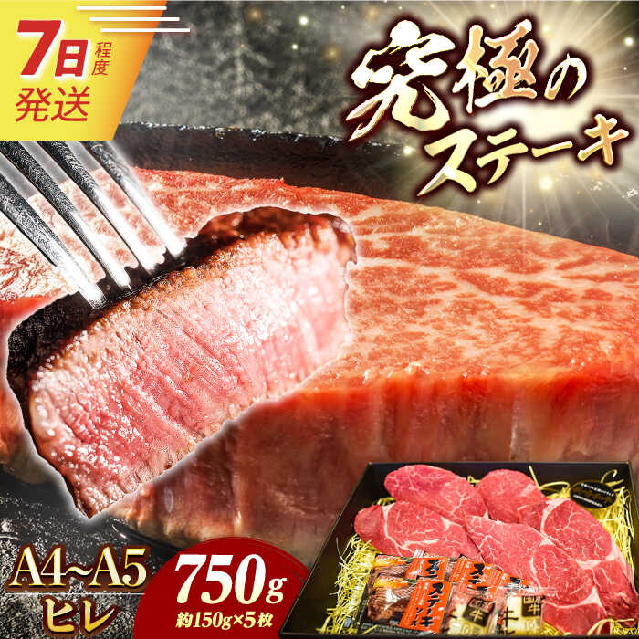 7日発送)【ふるさと納税】【お中元ギフト】【A4-A5】 長崎和牛 ヒレ ステーキ 約150g×5枚 長与町/meat shop FUKU[ECS037] ヒレ フィレ ヒレステーキ ヒレ肉 希少部位 ステーキ 国産 長崎 和牛 肉 焼肉 バーベキュー 冷凍