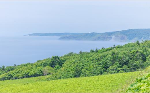 北海道釧路町の豊か自然と生きがいあふれるまちづくりに活用させていただきます