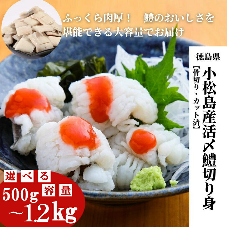 【ふるさと納税】 肉厚ふわふわ使い勝手も抜群 鱧 国産 ハモ 切り身 選べる容量 500g～1.2kg 冷凍 お届け時期が選べる 骨切り カット済 産地直送 魚介 魚 切身 天然鱧 お取り寄せ グルメ 湯引き 蒲焼き 天ぷら しゃぶしゃぶ 鍋 お吸い物 酒蒸し ※北海道・沖縄・離島配送不可