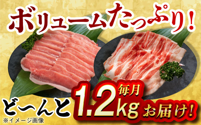 肉 豚 ぶた ブタ ロース バラ 豚バラ しゃぶしゃぶ 食べ比べ 西海市 長崎 九州 定期便