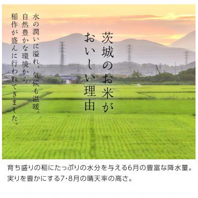 ふるさと納税 つくばみらい市 【玄米】新米令和8年産 茨城県産 お米 こしひかり 5kg(5kg×1袋) |  | 01