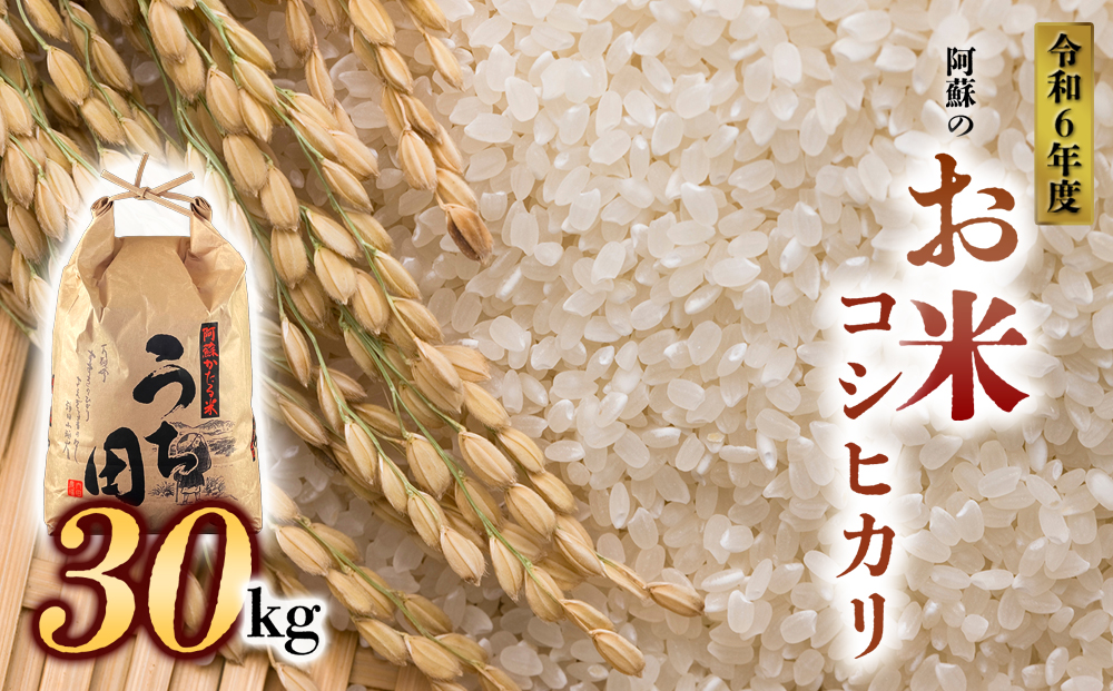 【令和6年度】 内田農場の新米 コシヒカリ 30kg （5kg×6袋）白米 お米 米 人気 美味しい 白ご飯 こだわり 農業 甘味 香り ツヤ お米の王様 熊本県 阿蘇市