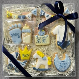 【名入れ可】出産祝いアイシングクッキー(10個入り・ブルー)【1637974】