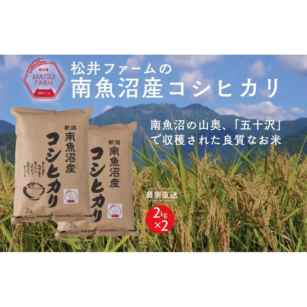【令和8年新米予約】【定期便（無洗米）】南魚沼産コシヒカリ（4kg×3回)｜コシヒカリ【2026年10月上旬より1ヶ月以内に順次発送予定】