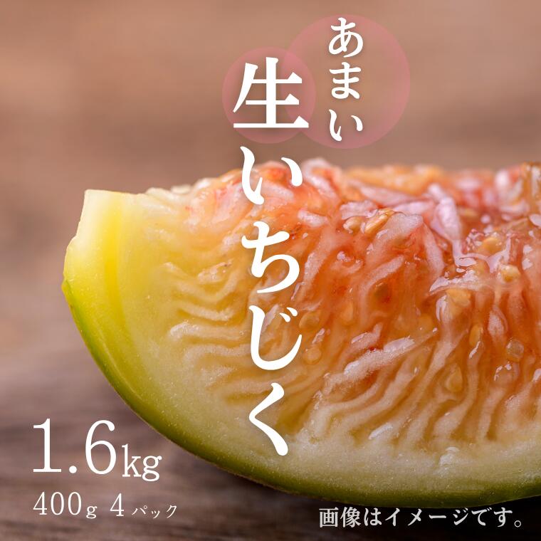 【ふるさと納税】あまい生いちじく1600g