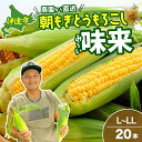 【ふるさと納税】北海道 伊達産 新鮮 朝採り とうもろこし 味来 L～LLサイズ 20本 takke farm 農園 直送 イエロー種 スイートコーン とうきび　【 野菜 高糖度 柔らかい イエロー系 美味しい 】　お届け：2024年8月上旬～8月末頃