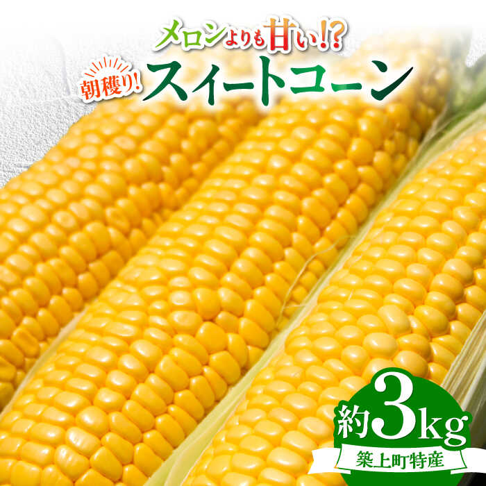 【ふるさと納税】【令和7年6月18日締切】 築上町 特産品 スイートコーン 約3kg 【京築の恵み】《築上町》【JA福岡京築　営農部】 [ABAW001] 9000円