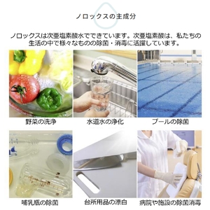 ノロックス norox お試しセット(ストレートタイプ) ｜ノロックス 次亜塩素酸水 ミスト 除菌 消毒 消臭 消臭剤 花粉 ダニ 対策 弱酸性 肌に優しい 愛媛県 松山市 【OCN002】