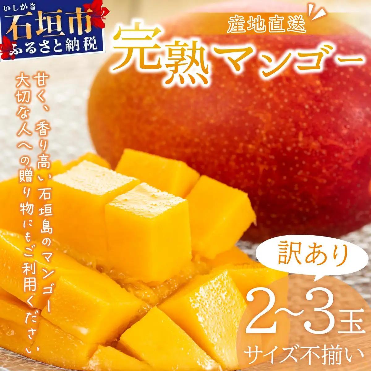 【訳あり】マンゴー サイズ不揃い 2～3玉 (約1kg) KP-26