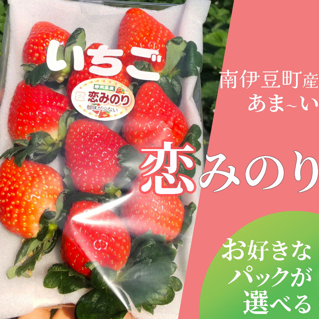 【ふるさと納税】【先行予約】【2026年3月から5月発送予定】完熟いちご恋みのり 選べる2パック/4パック（DXパック）送料無料 みなみのいちご園 いちご 生いちご イチゴ 苺 甘い 恋みのり 560g 1120g人気 大人気 おすすめ 静岡 果物 フルーツ 甘い 南伊豆町産 静岡県 静岡