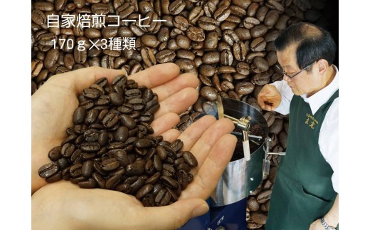 
                  【豆の挽き方選択】お家でカフェ♪アメリカンスペシャリティ認定豆170ｇ×3袋
                