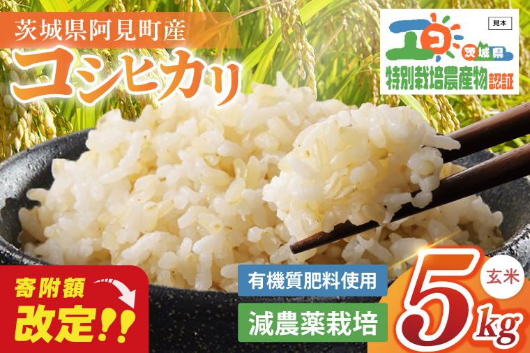 令和7年産 特別栽培農産物認証 コシヒカリ玄米５kg 特栽米 ネオニコフリー 減農薬 減化学肥料 安心 安全 こしひかり 白米 弁当 おにぎり オニギリ 有機肥料 特別栽培米 エコ農産物 茨城県産米(