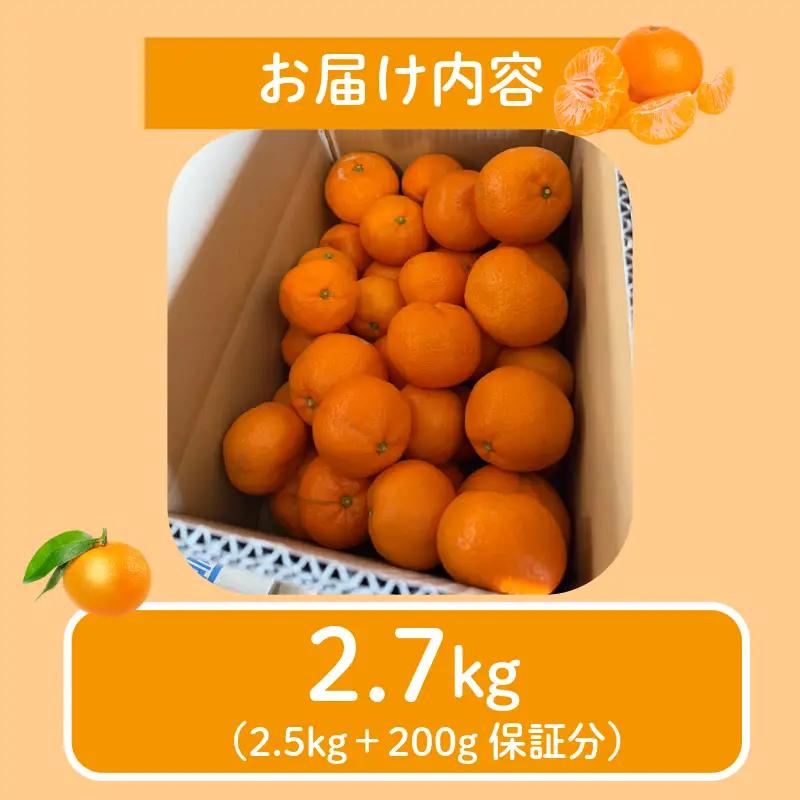 みかん ハウスみかん 2.7kg 傷み補償付き200g みかん 柑橘 フルーツ 果物 みかん ミカン みかん 蜜柑 オレンジ 徳島県 阿南市