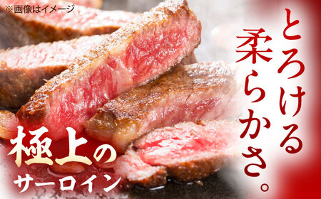 【3回定期便】佐賀牛 サーロインステーキ 500g（250g×2枚） /MKミート武雄[UEM021]