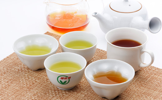 ティーバッグ詰め合わせセット(水出し煎茶・ほうじ茶・和紅茶・掛川茶桃・掛川茶桜)【配送不可地域：離島・沖縄県】【1670610】