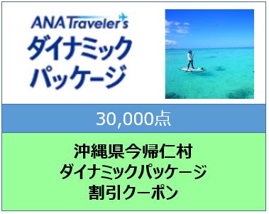 沖縄県今帰仁村ANAトラベラーズダイナミックパッケージ割引クーポン30,000点分