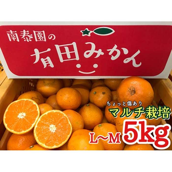 ちょっと 傷あり マルチ栽培 有田 みかん L または Ｍ サイズ 5kg 南泰園