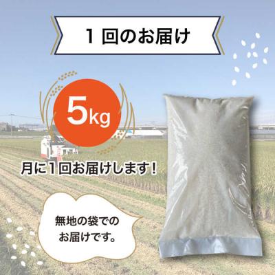 ふるさと納税 糸島市 【全3回(月1)定期便】とにかくおいしいお米  5kg 糸島市 シーブ [AHC047] |  | 02