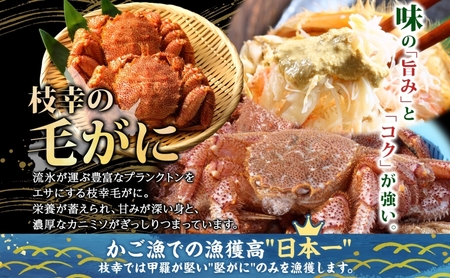 【朝獲れ毛蟹を即ボイル！枝幸漁師の本気毛蟹】特大毛ガニ(700g～900g)1尾入【 カニ 蟹 毛ガニ 毛がに 毛蟹 朝茹で 冷凍 北海道 オホーツク 枝幸 】