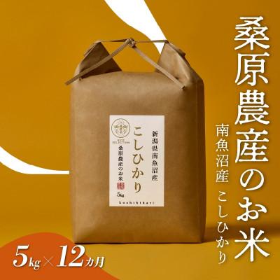 ふるさと納税 南魚沼市 【毎月定期便】桑原農産 山間地限定米 南魚沼産こしひかり5kg全12回