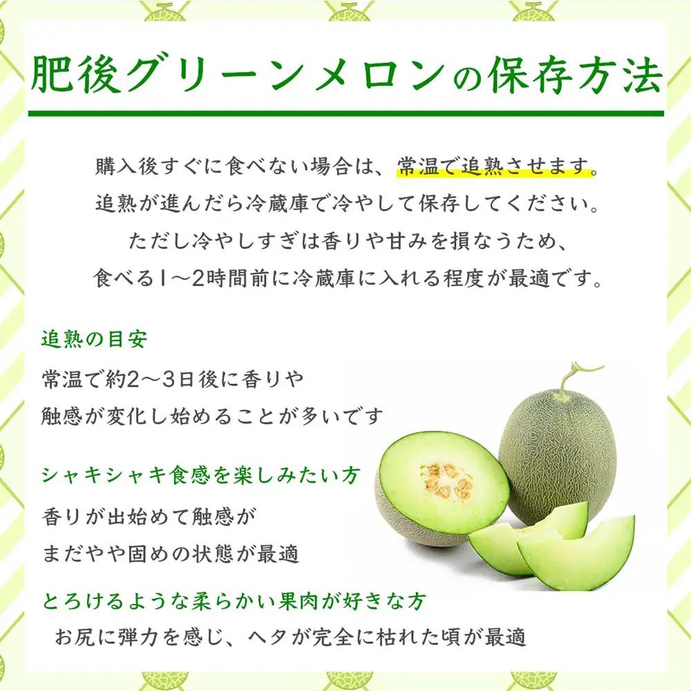 肥後グリーンメロン 約2kg（4L以上）【2026年5月上旬～2026年7月下旬配送予定】