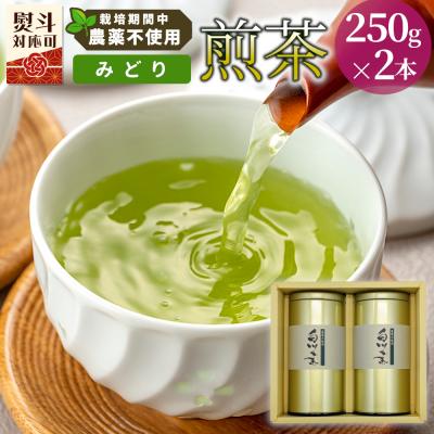 ふるさと納税 東白川村 栽培期間中 農薬不使用! 煎茶 ギフト NO.4 (みどり 250g×2本) 常磐園 日本茶