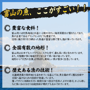 【氷見の天然寒ぶり】冬の味覚限定セット ＜2025年12月中旬以降発送＞  寒ぶり 限定 鰤 富山県 氷見市
