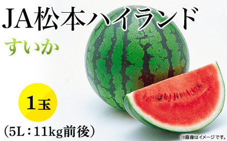 1813【5L】JA松本ハイランドすいか1玉 （約11kg）【2025年7月中旬～8月上旬発送】