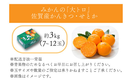 【先行予約】みかんの「大トロ」佐賀産かんきつ・せとか 約3kg(7-12玉) / ふるさと納税 佐賀 フルーツ濃厚 甘い 酸味 大町 贈答 ギフト 贈り物