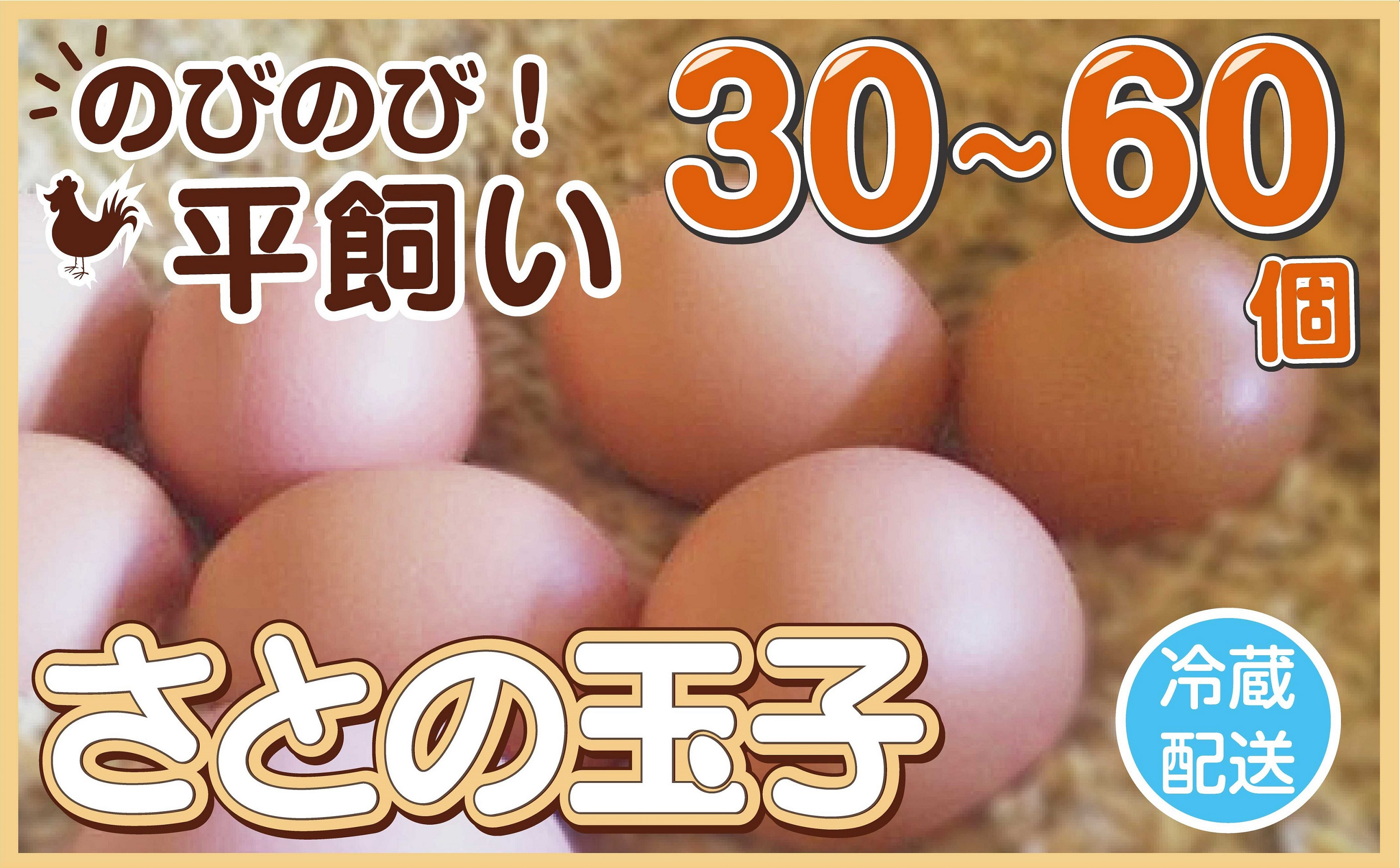 
             玉子 30～60個 冷蔵 無添加 タンパク質 濃厚 卵 たまご 鶏卵 新鮮 ご飯 家庭用 平飼い とりのさと農園
          