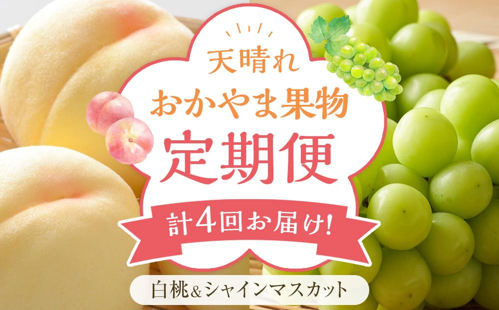 
            フルーツ 定期便 2025年 先行予約 天晴れ おかやま 果物 定期便 (1)  白桃 1回／ シャイン マスカット 3回 合計4回お届け！ 岡山県産 国産 セット ギフト
          