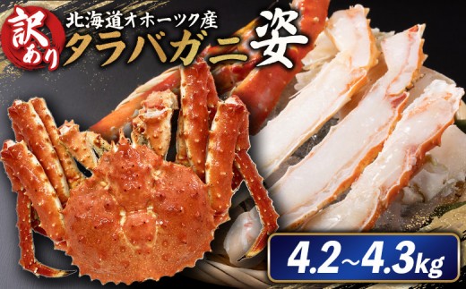 北海道オホーツク産 訳アリ 冷タラバガニ姿　4.2～4.3kg | オンライン申請 ふるさと納税 北海道 雄武 北海道産タラバガニ タラバ カニ かに 蟹 冷凍 海産 海産物 ギフト 贈り物 お取り寄せ ワンストップ マイページ 雄武町【1243101】