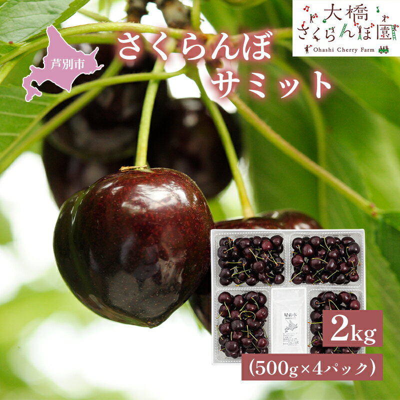 【ふるさと納税】【 先行受付 】さくらんぼ サミット 2kg 500g×4パック 大橋さくらんぼ園 農林水産大臣賞 受賞 サクランボ チェリー 果物 果物類 フルーツ デザート 高級 希少 大粒　お届け：2026年7月下旬頃～