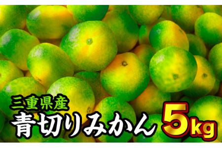  三重県産 青切りみかん（極早生温州みかん）５kg《先行予約商品（９月から１０月頃まで出荷予定）》II-24