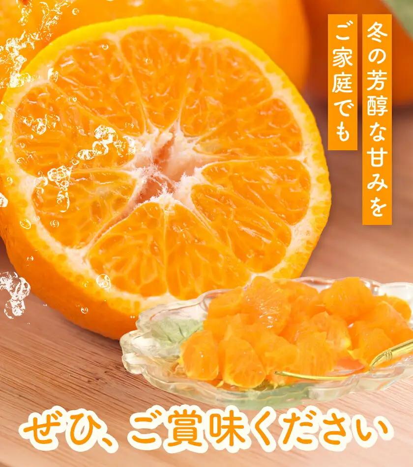 ポンカン5kg 高橋商店《12月上旬-2月中旬頃出荷》