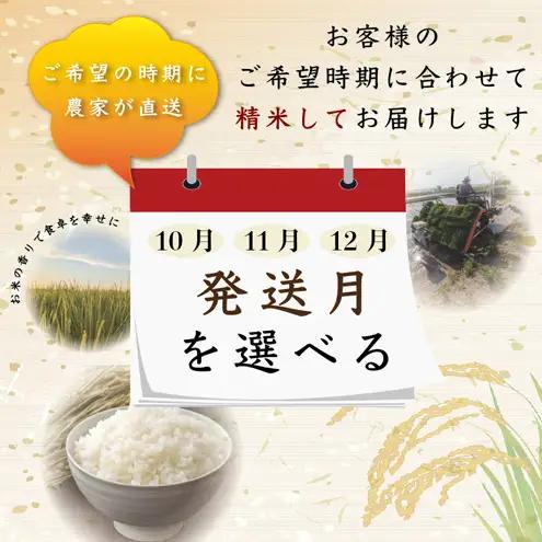【先行予約・定期便3回配送】塩崎農場 新之助 精米 白米 送料無料 新之助 30kg