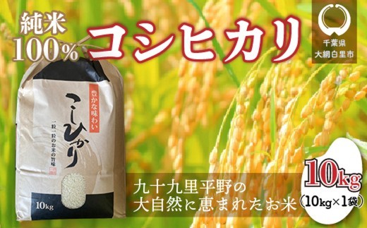 【令和7年産】千葉県 大網白里市産 コシヒカリ 10kg（10kg×1袋） お米 10kg 千葉県産 大網白里市 コシヒカリ 米 精米 こめ 送料無料