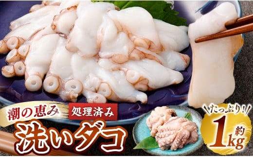 潮の恵み 洗いだこ 約1kg 蛸 タコ たこ 洗ダコ 生ダコ マダコ 真タコ 処理済 流水解凍 冷凍