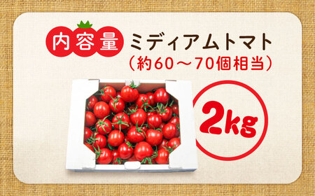 「食の安全」を守りたい！自然を活用した低農薬栽培！ ミディアムとまと  2kg 料理 人気 美容 健康 ギフト 広島県産 江田島市/有限会社グリーンファーム沖美[XAB002]
