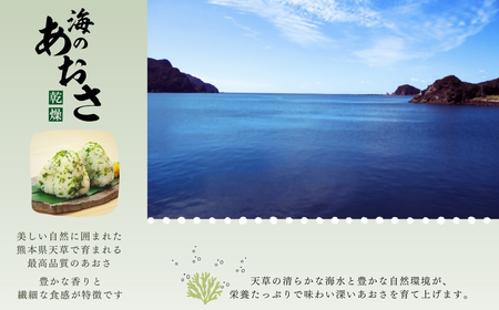 あおさ 50g×3個 合計150g  小分け 味噌汁  【海の恵み】熊本県天草産 あおさ 50g×3個セット 合計150g