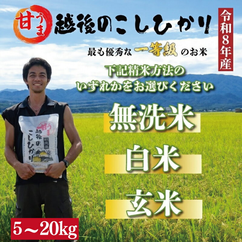 【ふるさと納税】 先行予約 甘うまこしひかり 新潟 無洗米 白米 玄米 5kg 10kg 20kg 新潟 令和8年産 選べる 単品 定期便 米 こめ 特別栽培米 甘うま こしひかり 新潟県 新潟産 新潟県産 新発田 斗伸 toushin003_R8P
