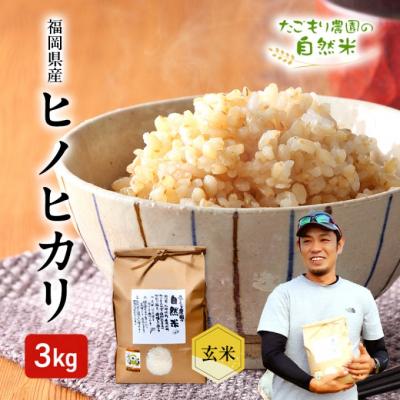 ふるさと納税 小郡市 米 令和6年産 たごもり農園の自然米 ヒノヒカリ 玄米 3kg お米[No5354-2127]