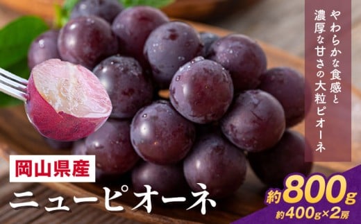 【2026年先行予約】 岡山県産 ニューピオーネ詰合せ 選べる 計 800g 株式会社はちや《2026年8月下旬‐9月下旬頃出荷》岡山県 浅口市 ぶどう 葡萄 フルーツ ギフト 果物 デザート 国産 送料無料【配送不可地域あり】