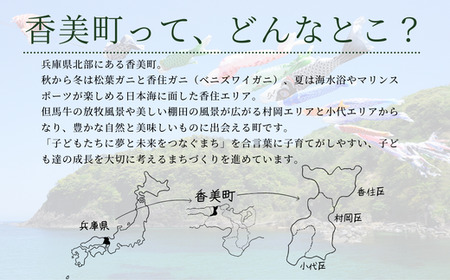 【返礼品なし】兵庫県香美町 ふるさとづくり寄附金（4,000円分） 25-36