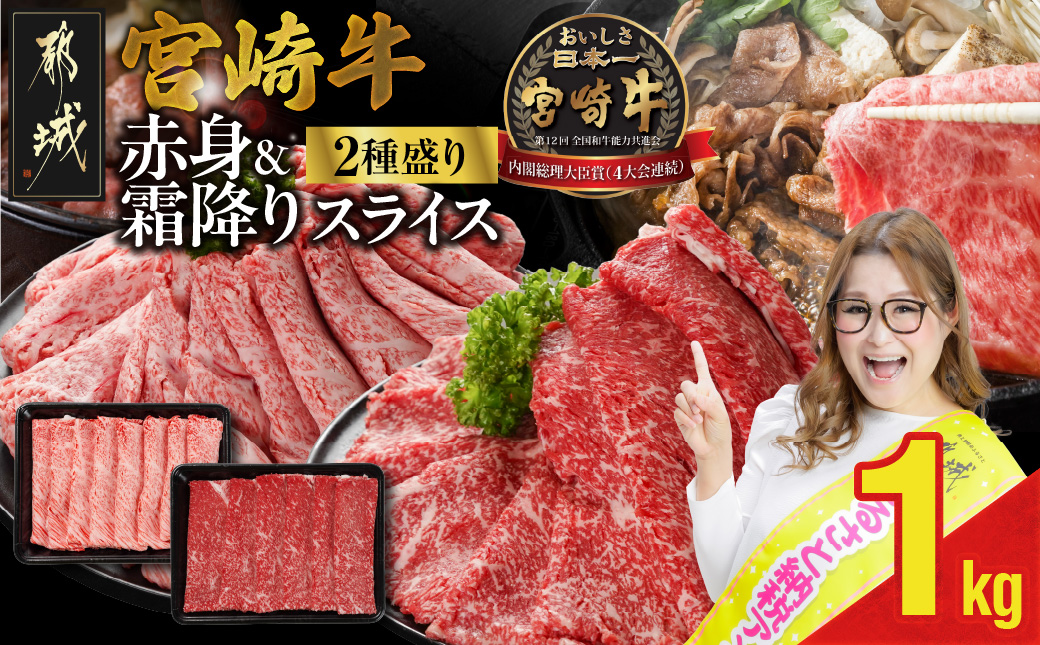 宮崎牛スライス2種セット500g×2パック_17-N201