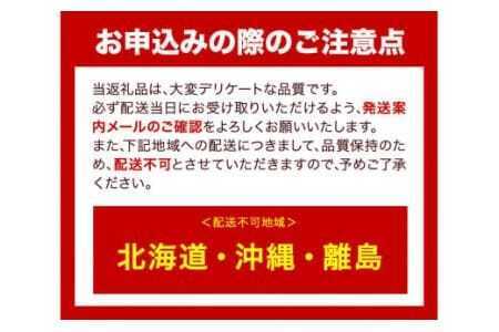 ミックス めだか 5種以上 計20匹+死着保障1匹 喜来めだか《30日以内に出荷予定(土日祝除く)》【配送不可地域あり】喜来めだか 徳島県 美馬市 めだか 生き物 旧喜来小学校 改良めだか専門店 鑑賞