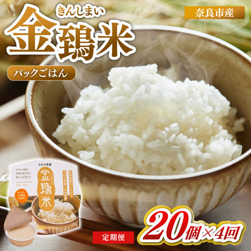 定期便 パックごはん 白米 20個×4回