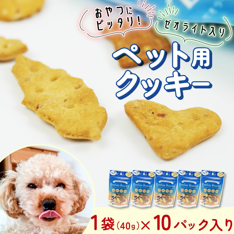 【ふるさと納税】 ビスケット 40g×10p 国産 ペットフード おやつ 小分け ペット 犬 いぬ イヌ ドッグ 間食 無添加 米粉 小麦 はちみつ ハチミツ 蜂蜜 あじ 金目鯛 マグロ まぐろ チーズ ご褒美 動物 オヤツ 犬用 静岡県 沼津市